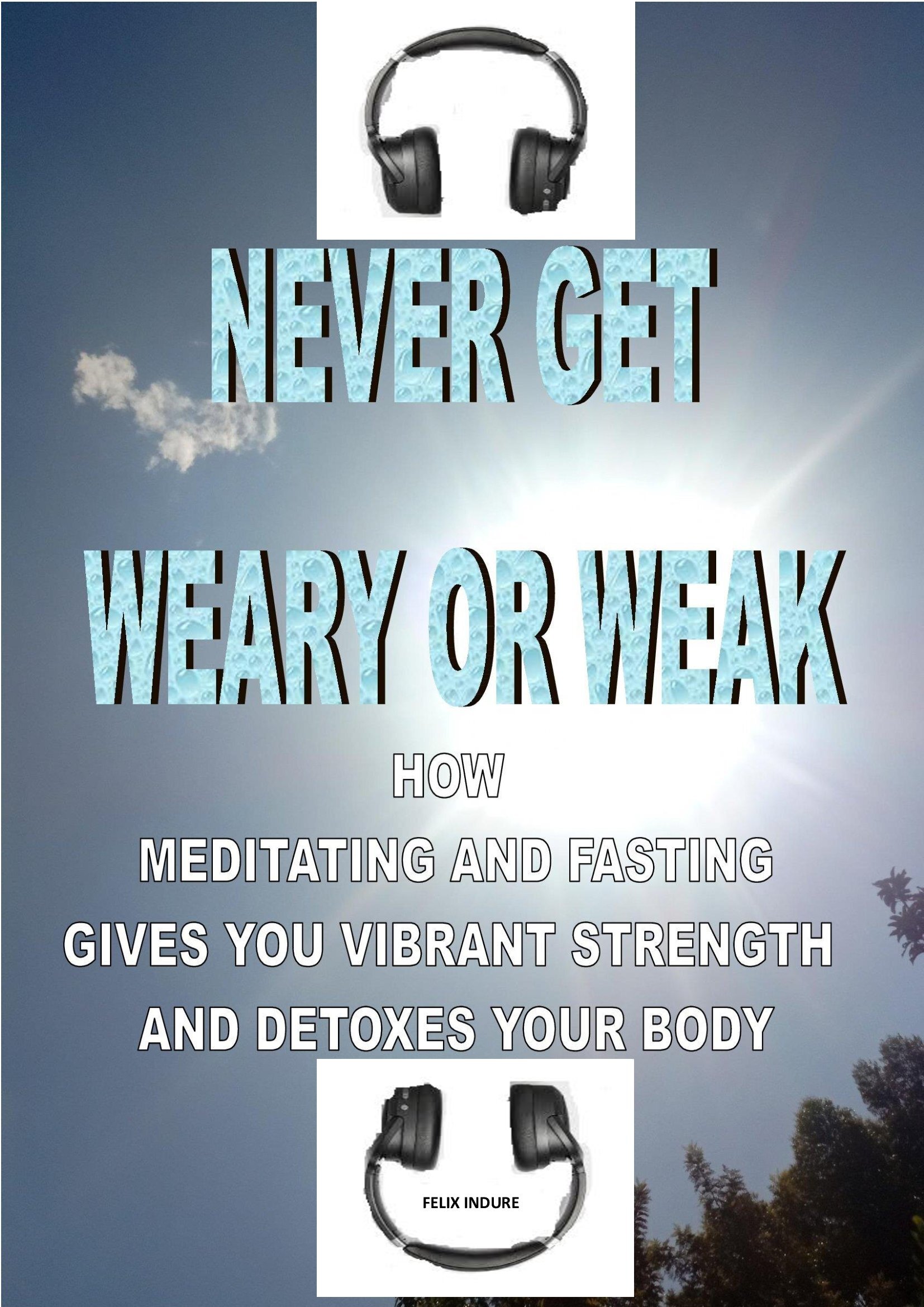 Never Get Weary or Weak book by Felix Indure